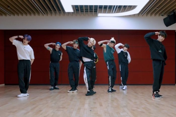 Stray Kids представили видео с танцевальной практикой к "MANIAC"