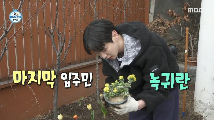 Ки из SHINee доказал, что он умелый садовник, в шоу «Я живу один»