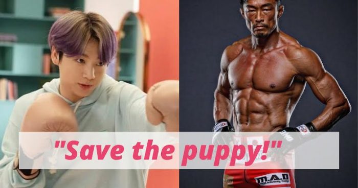 Корейские АРМИ уморительно призывают «спасти Чонгука» после того, как знаменитый боксер Чу Сон Хун пригласил его на спарринг