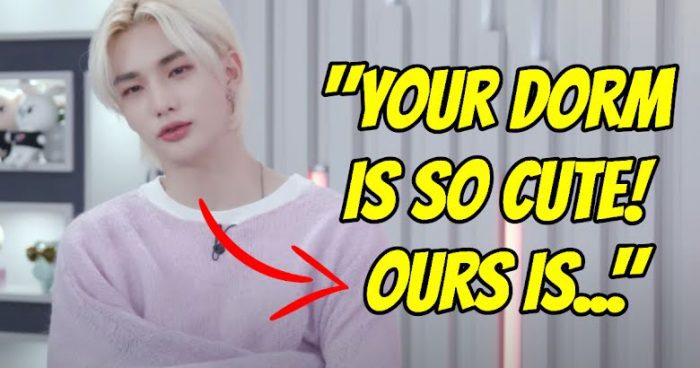 Как различать участников stray kids