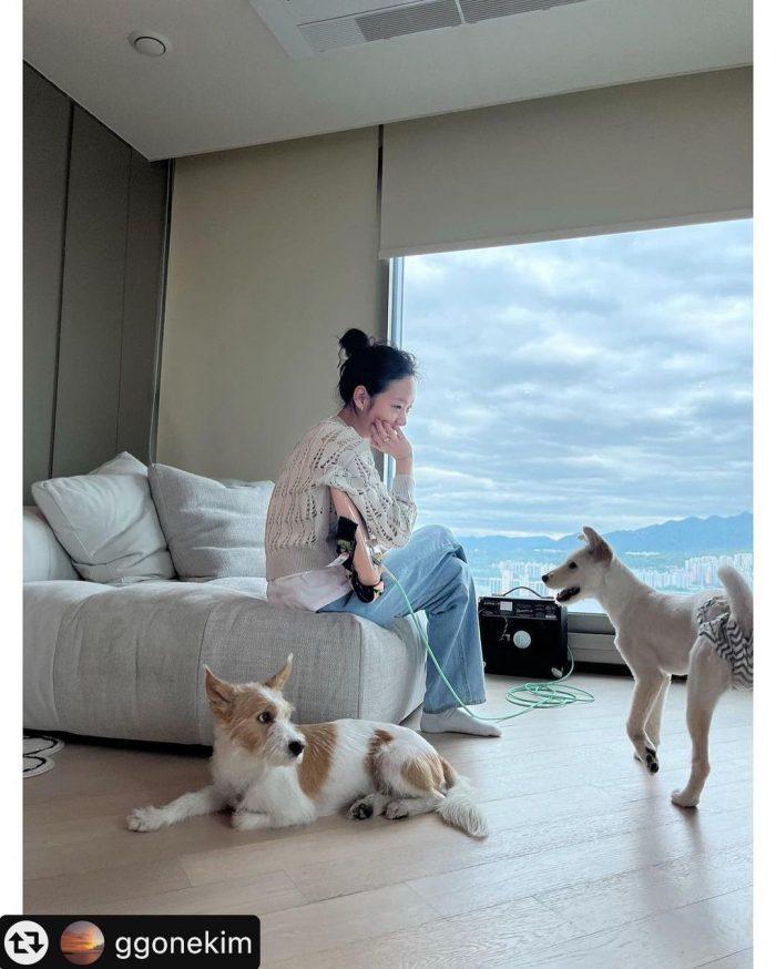 Приют для животных поблагодарил Ким Го Ын за то, что она приютила собаку с неизлечимой болезнью