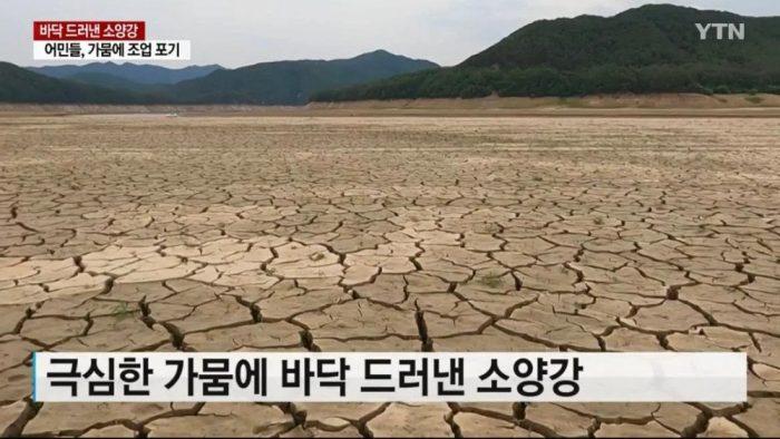 Ли Эль выступает против фестиваля "Water Bomb" из-за засухи