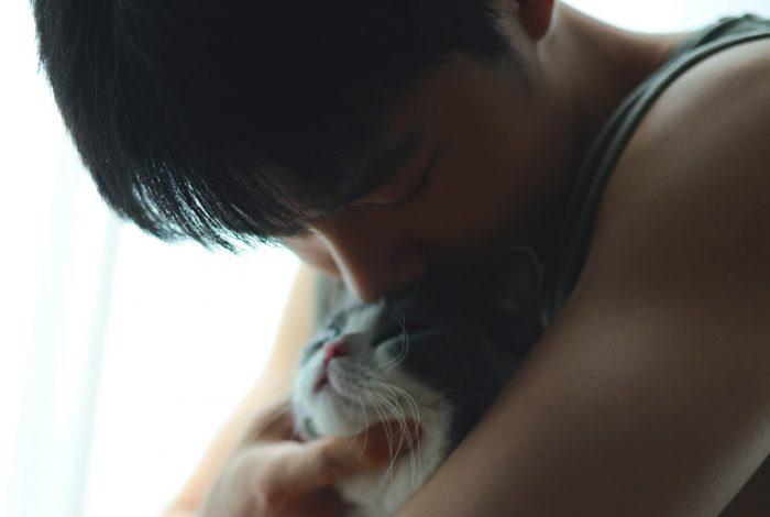 Нетизенов умилили новые фото Сяо Чжаня с кошкой
