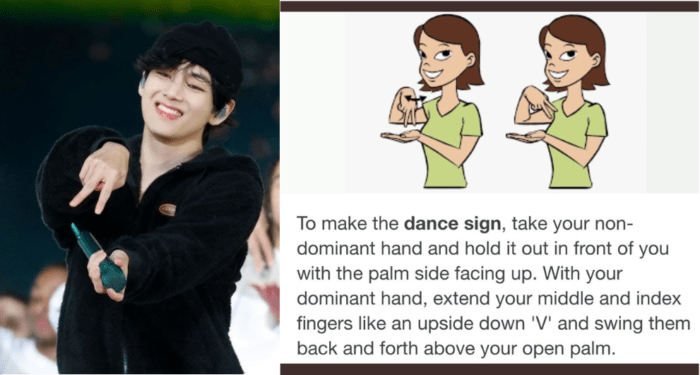 Ви из BTS удивил глухих фанатов, так как использовал язык жестов 