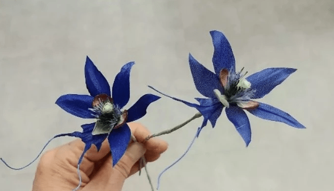 Интересный факт о Голубой орхидее из дорамы "Маленькие женщины"