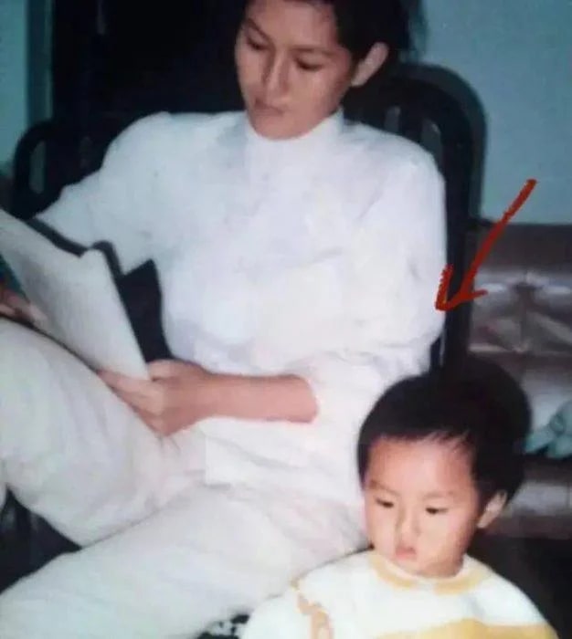 Влиятельная мать Криса Ву сможет сократить тюремный срок сына, считают некоторые нетизены