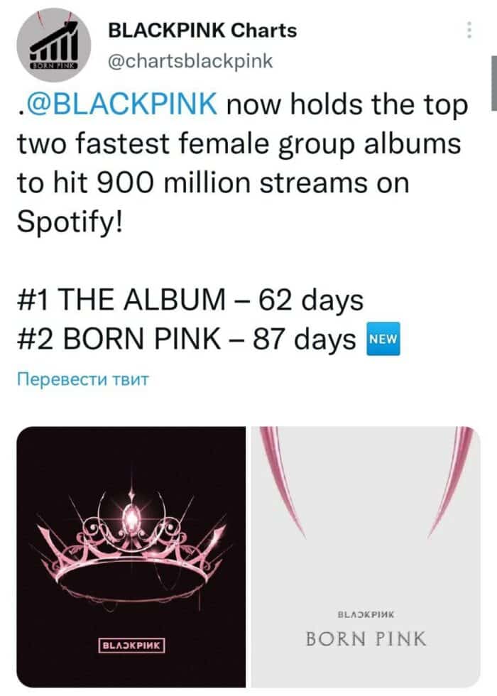"The Album" и "Born Pink" BLACKPINK - самые быстрые альбомы женской группы, достигшие 900 миллионов стримов на Spotify