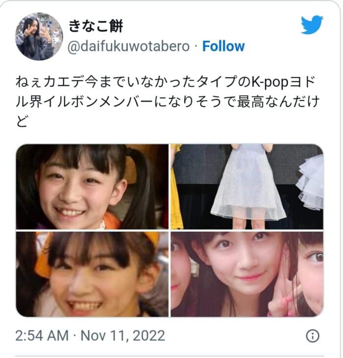 Японские нетизены узнали в новой участнице tripleS Каэдэ популярную детскую модель