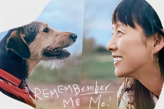 Ли Хёри воссоединилась со спасенной ею собакой на постерах нового шоу