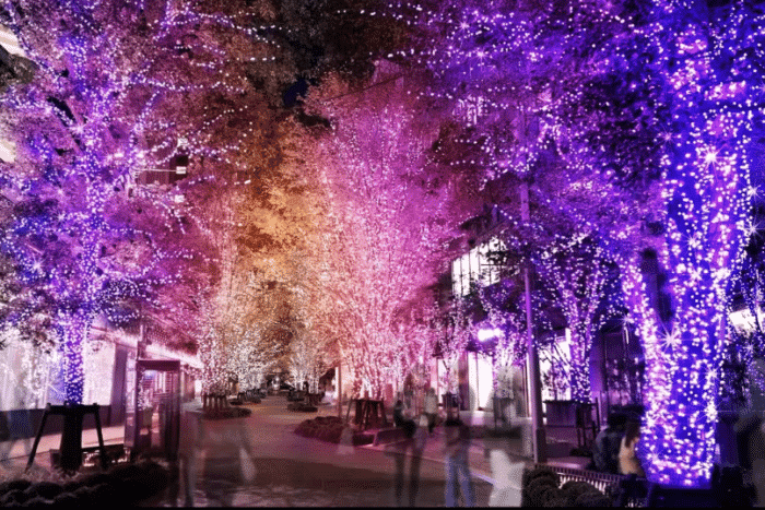 Токио Рождественский: Сказочные огни на улицах японского мегаполиса