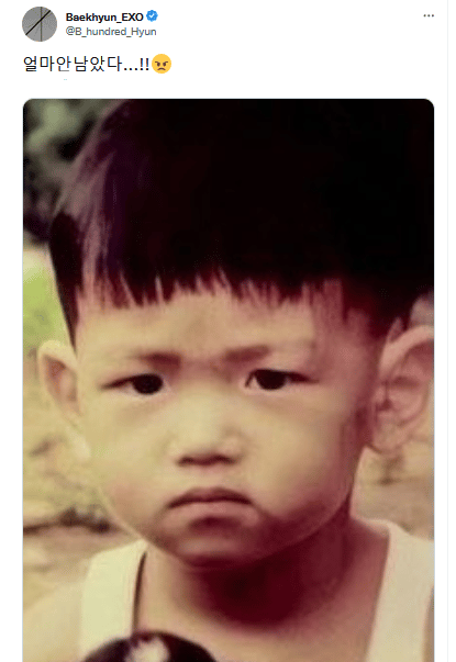 Бэкхён из EXO отметил 50 дней до увольнения из армии забавным детским фото