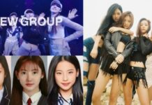 blackpink babymonster similarities and differences revealed will the rookie follow their seniors footsteps