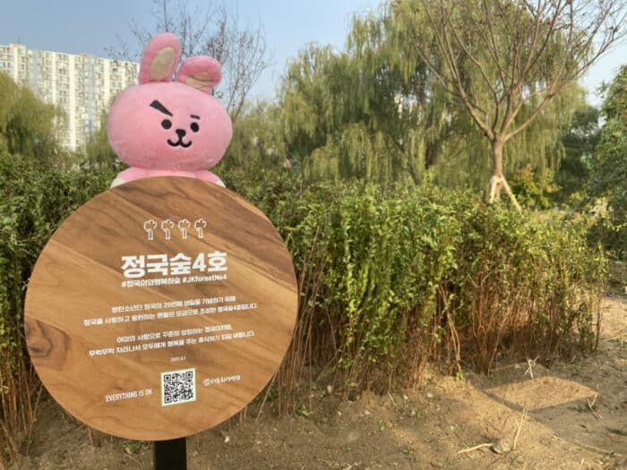 В Сеуле появятся «леса знаменитостей»