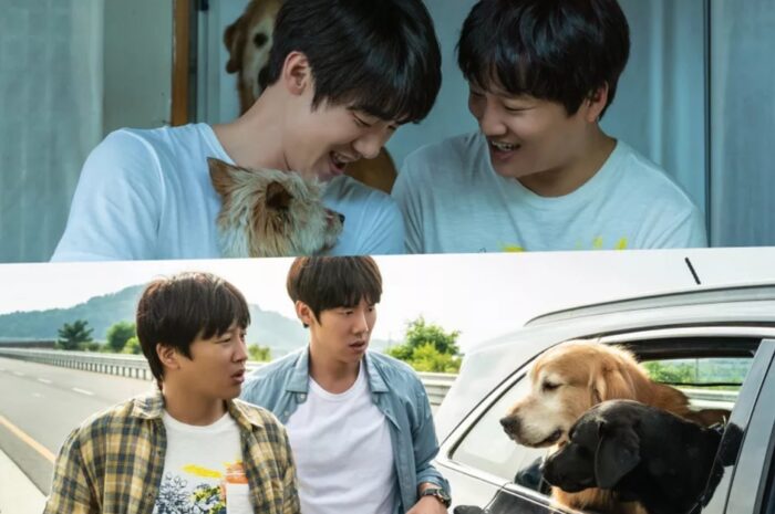 Ю Ён Сок и Ча Тэ Хён ненароком становятся опекунами восьми собак в фильме «Щенок»