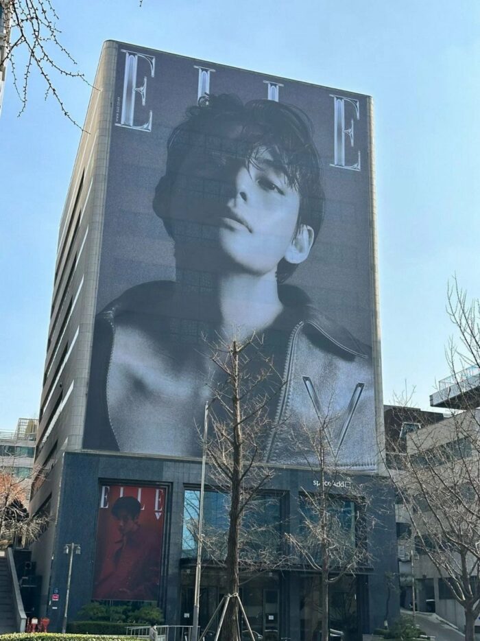 Огромное фото Ви из BTS украсило здание редакции журнала «ELLE» 