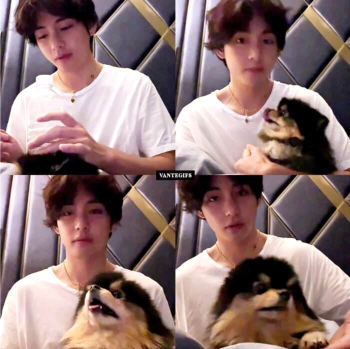 Милый дуэт: Ви из BTS демонстрирует привязанность к своей собаке Ёнтану