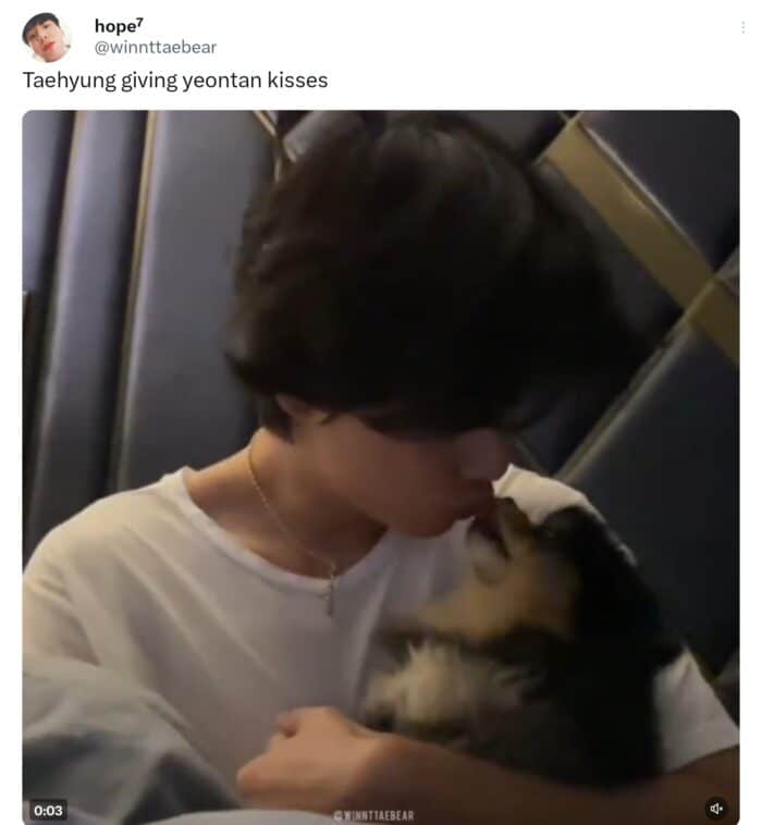 Милый дуэт: Ви из BTS демонстрирует привязанность к своей собаке Ёнтану