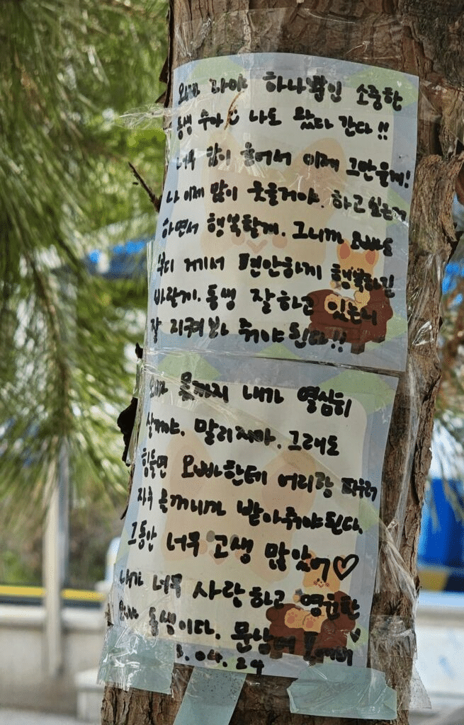 Сестра Мунбина Мун Суа и Джинджин с MJ из ASTRO оставили свои послания Мунбину на его мемориале