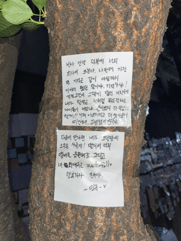 «Пожалуйста, прости нас»: Ча Ыну и Санха из ASTRO оставили послания Мунбину на его мемориале