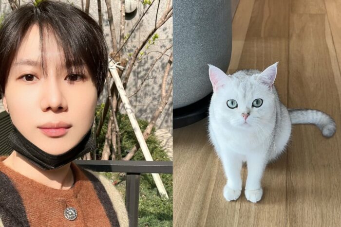 В Твиттер-аккаунте SHINee продолжается официальный обратный отсчет до возвращения Тэмина из армии с новыми фотографиями, включая нового кота