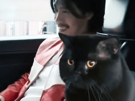 MIDNATT и его кот в продвижении сингла "Masquerade"