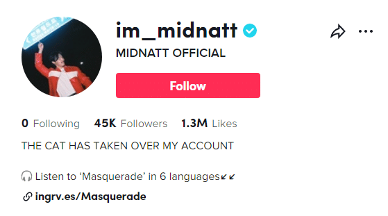 MIDNATT и его кот в продвижении сингла "Masquerade"