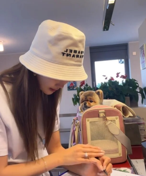 Ли Да Хэ оформила паспорт своей собаке для свадебного путешествия с Se7en 