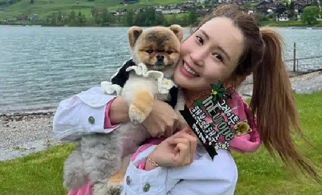 Ли Да Хэ оформила паспорт своей собаке для свадебного путешествия с Se7en 
