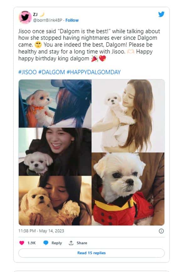 Любители собак: 7 K-pop айдолов, у который есть собаки