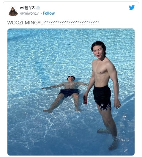 Мингю и Уджи из SEVENTEEN свели с ума нетизенов горячими фото из бассейна
