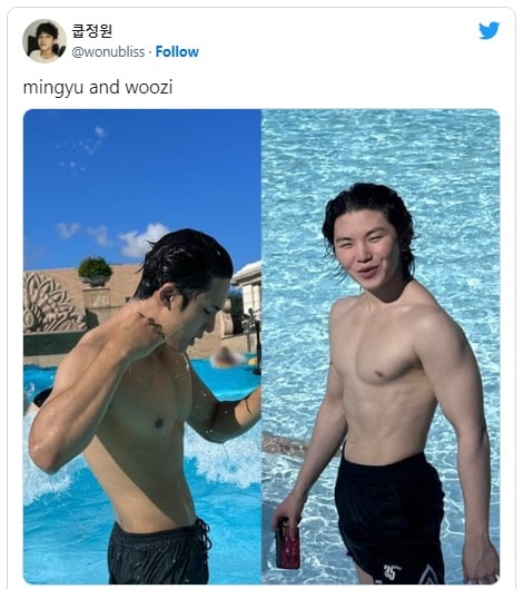 Мингю и Уджи из SEVENTEEN свели с ума нетизенов горячими фото из бассейна