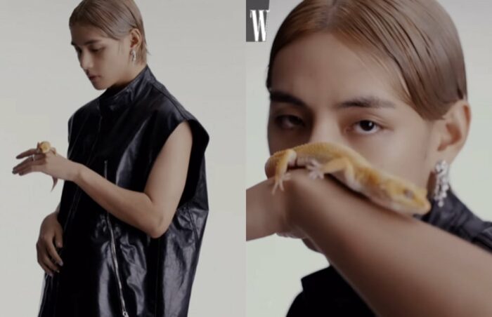 Ви из BTS сияет в рекламной кампании Cartier Jewelry для W Korea