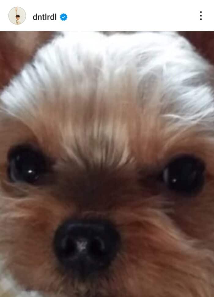 Чхве У Шик попрощался со своей собакой: "Я был счастлив встретить тебя"