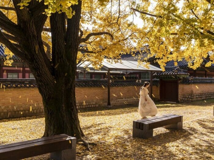 Топ-5 мест Кореи, которые стоит посетить этой осенью