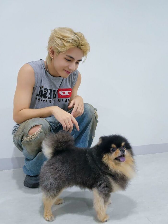 Ёнтан, собака Ви из BTS, дебютировал на музыкальном шоу