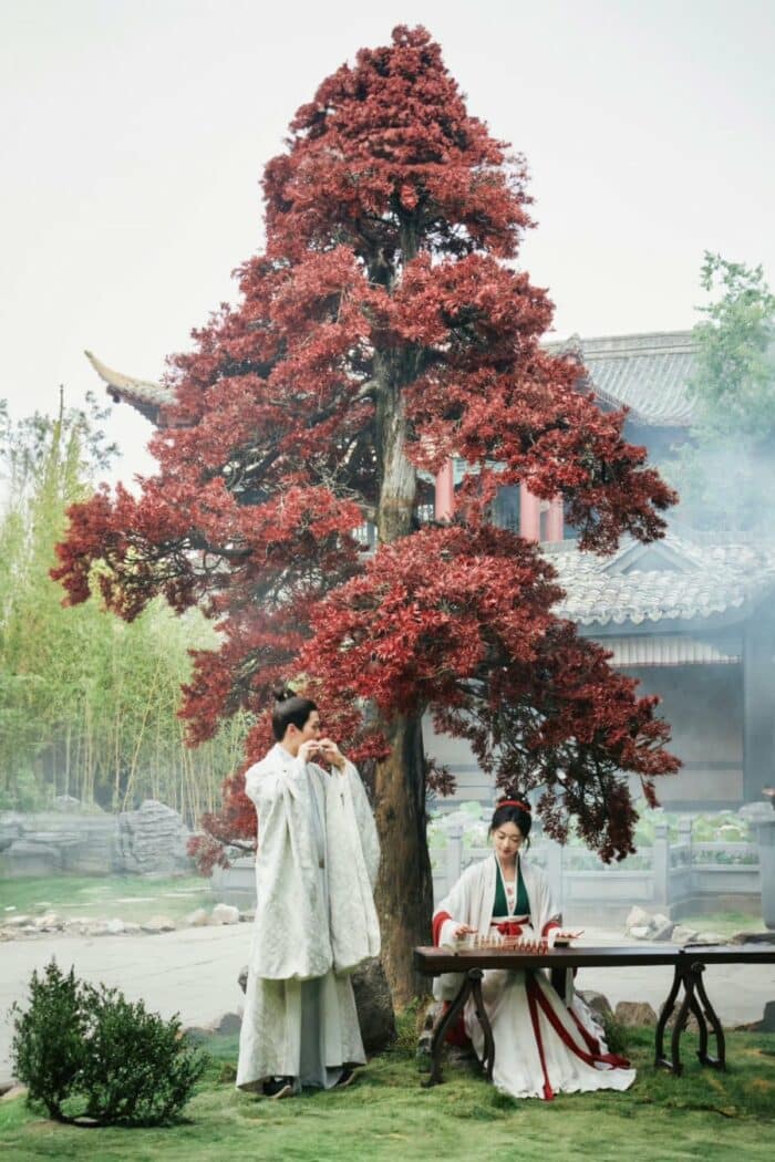 У Цзинь Янь и Ван Син Юэ в костюмированной дораме "Двойник"