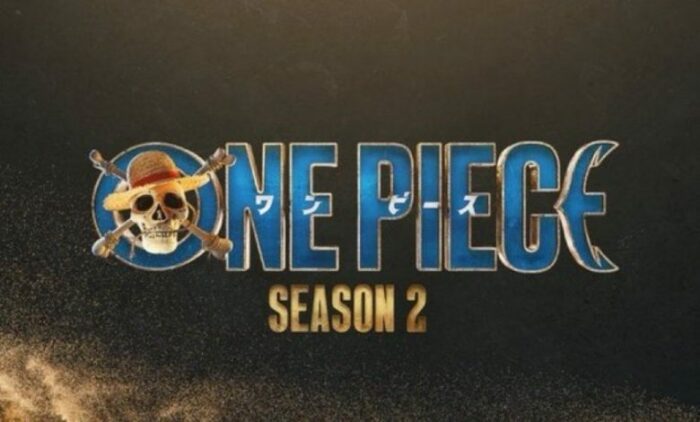 Создатели сериала "One Piece": "Мы надеемся на 12 сезонов"