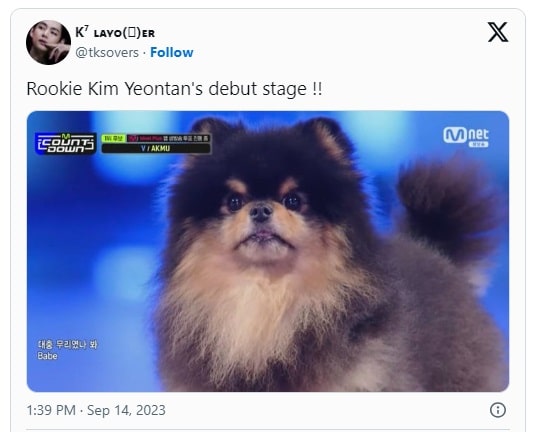 Ёнтан, собака Ви из BTS, дебютировал на музыкальном шоу