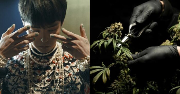 Полиция получила результат анализа образцов ногтей G-Dragon на наркотики