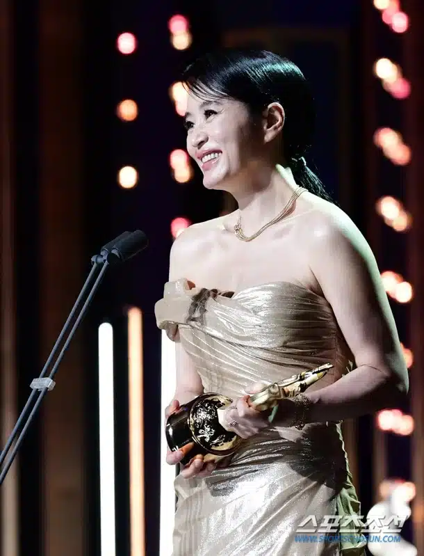 Ким Хе Су на красной дорожке "Blue Dragon Film Awards": кольцо за 43,000 долларов США