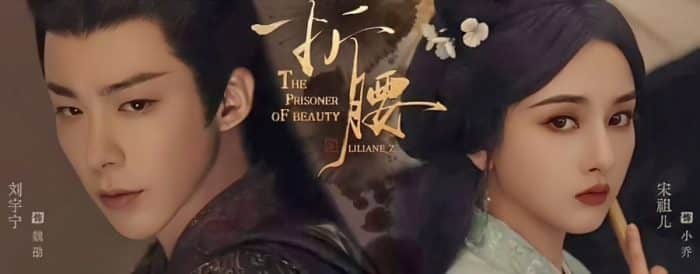 Премьера дорамы "Пленник красоты" с Лю Юй Нином и Сун Цзу Эр состоится в январе?