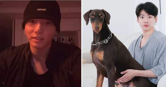 Чонгук из BTS ответил на крайне «неуместный» вопрос о своей собаке