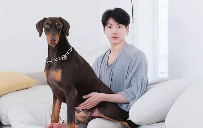 Чонгук из BTS ответил на крайне «неуместный» вопрос о своей собаке