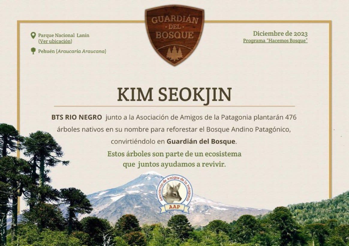 Аргентинские фанаты Джина из BTS посадили 476 араукарий в национальном парке