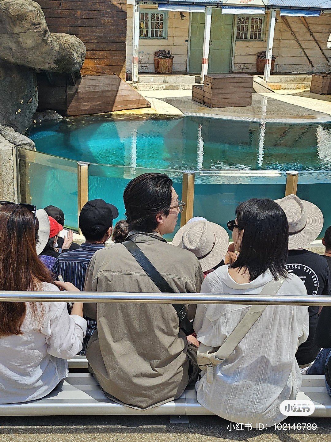Суён и Чон Кён Хо замечены на свидании в зоопарке Сиднея