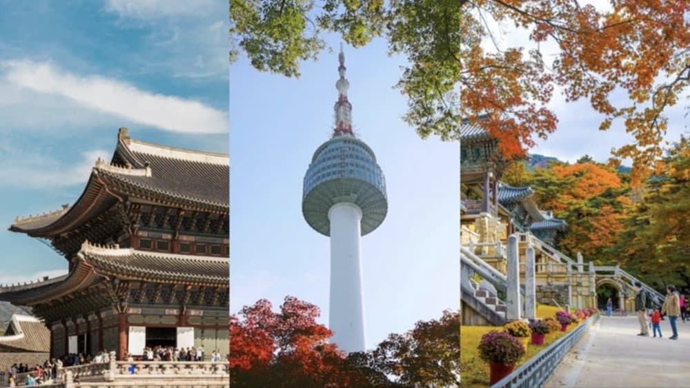 Лайфхаки для путешествия в Южную Корею, которые вам нужно знать